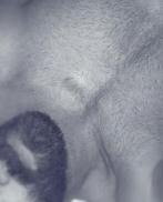 Проститутка Eliza